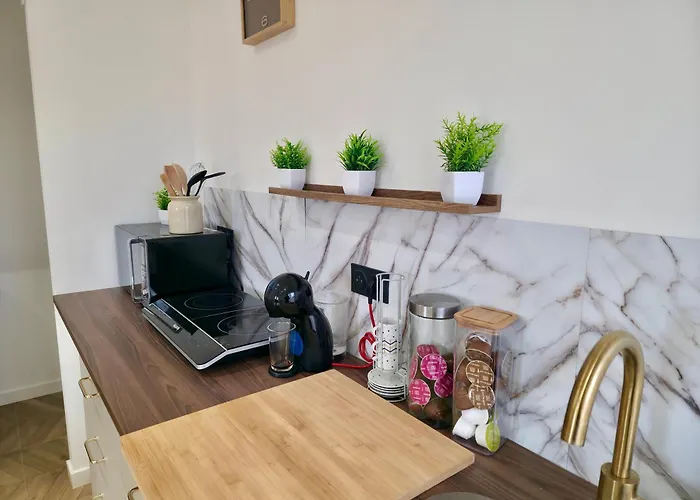 Appartement New Confort Clim Jardin Parking Netflix